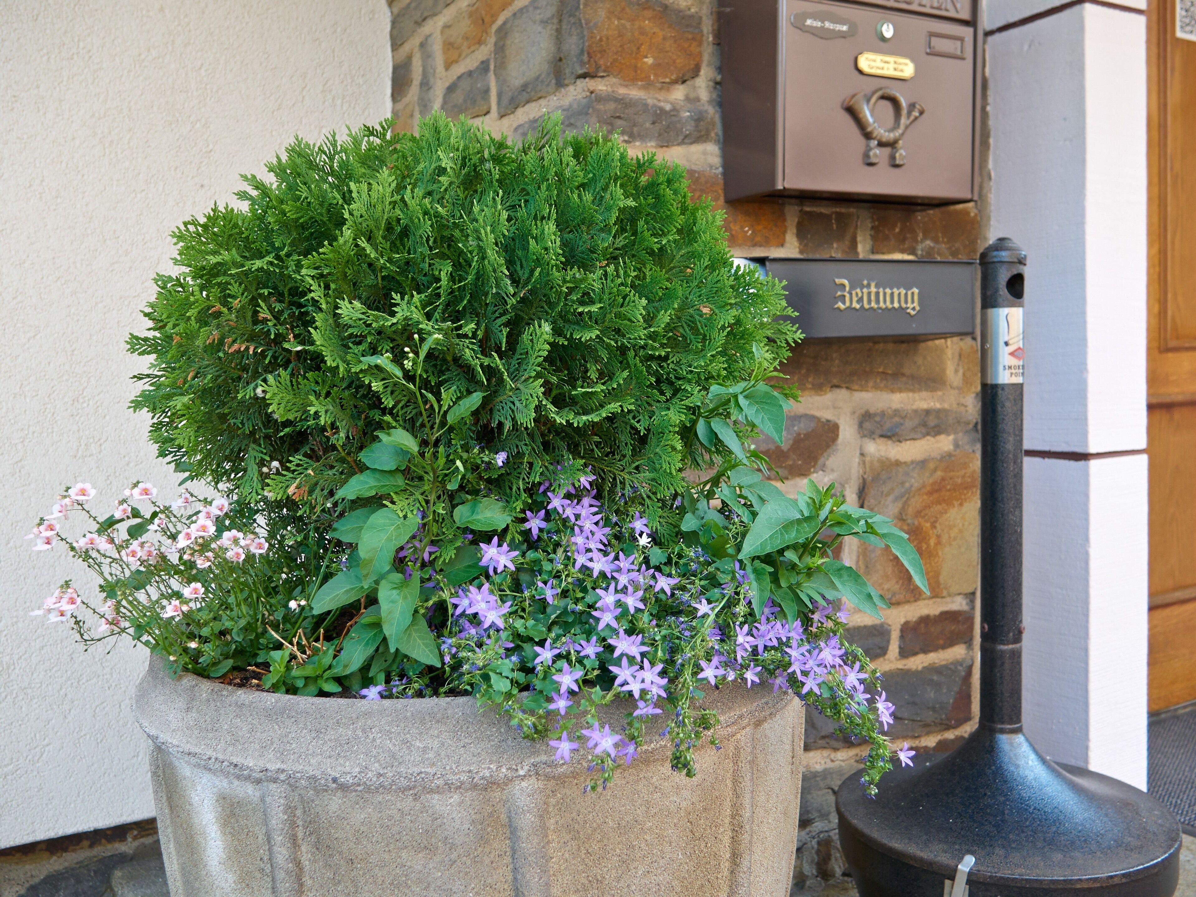 Haus Mooren, Hotel Garni — Photos 1
